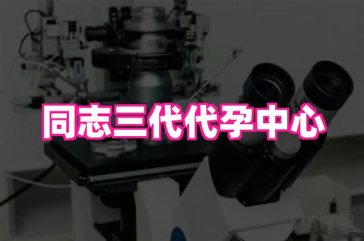 成都助孕网站 1
