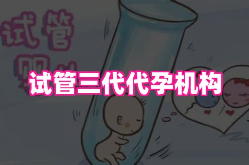 成都助孕网站 4